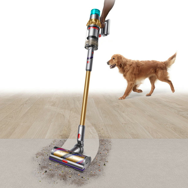 Dyson V15 Detect Absolute Cordless Vacuum - Gold - Gold