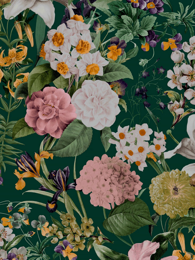 Graham & Brown Glasshouse Flora Wallpaper